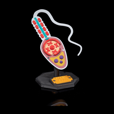 Sperm Cell | 3D Printer Model Files