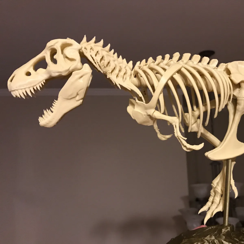 Trex Fossil Scan | 3D Printer Model Files