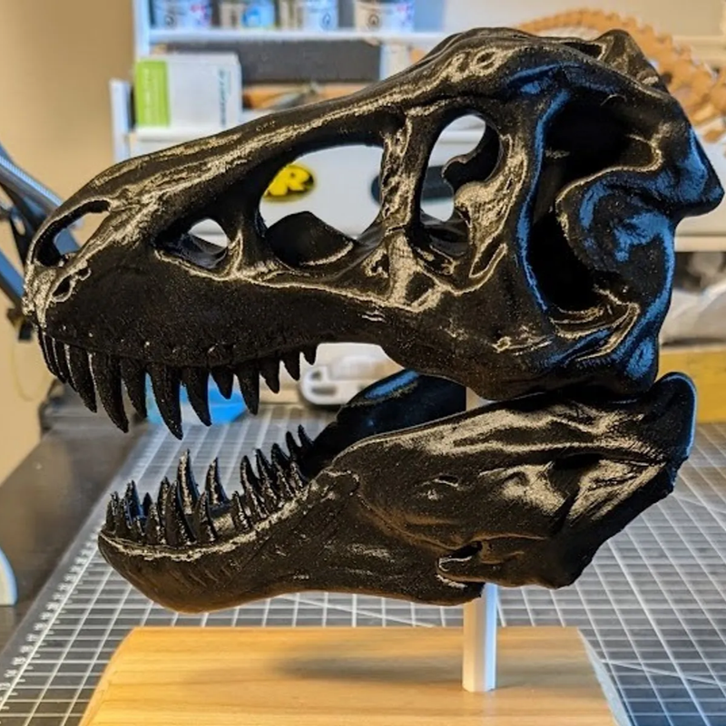 Trex Skull Fossil Scan | 3D Printer Model Files