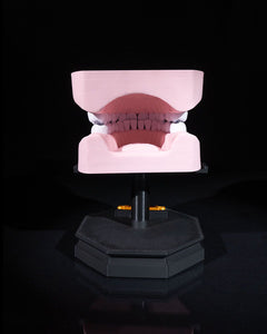 Upper and Lower Dental Arch | 3D Print Model